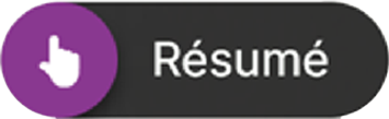 Bouton résumé